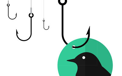 What Happens When a Raven Goes Phishing?